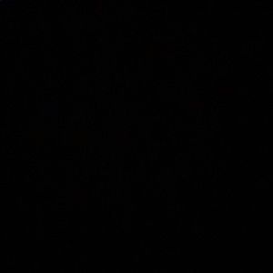 Meet your Posher, Trey